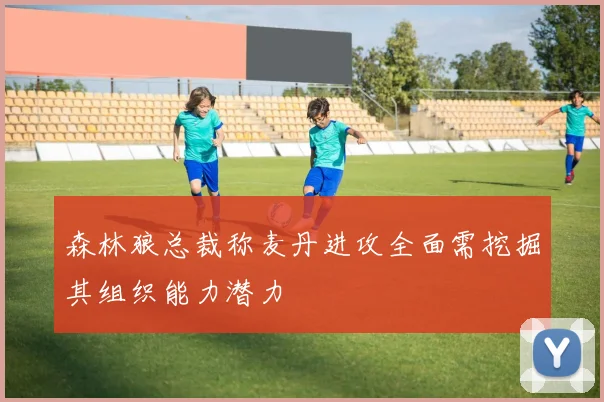 森林狼总裁称麦丹进攻全面需挖掘其组织能力潜力