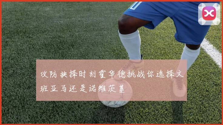 攻防抉择时刻霍华德挑战你选择文班亚马还是诺维茨基
